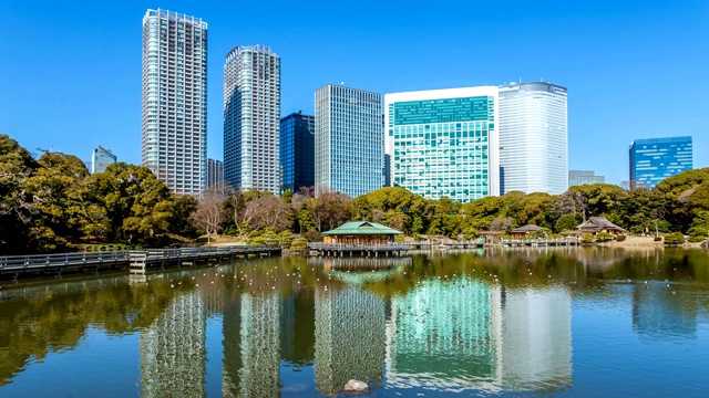 从滨利休花园观看4K时间的东京天际线。视频下载