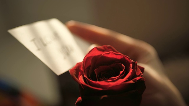 夕阳下，红玫瑰背景上，女性手中的“我爱你”散焦音符。情人节，2月14日，生日，周年纪念日，第一次约会的概念。慢镜头和特写视频下载