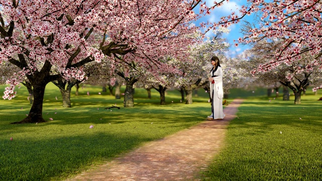 一个日本艺妓和樱花在慢动作3D樱花视频下载