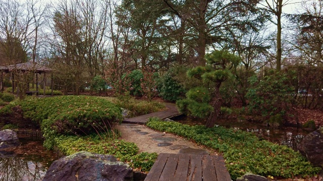 在冬天穿过日本花园。木桥横跨池塘视频下载