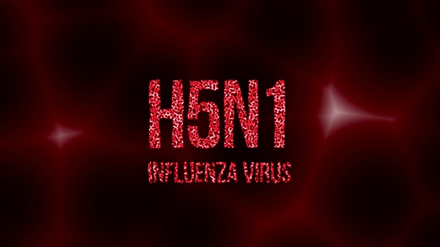 H5N1病毒感染血液细胞的文本视频下载