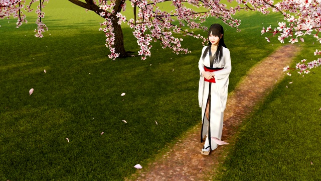 日本艺妓女孩和樱花盛开在春天的一天3D动画视频下载