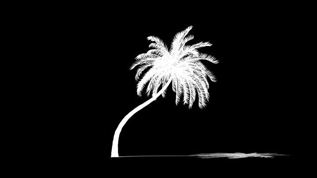 沙滩棕榈树，长时间生长，发光亚光附着视频下载