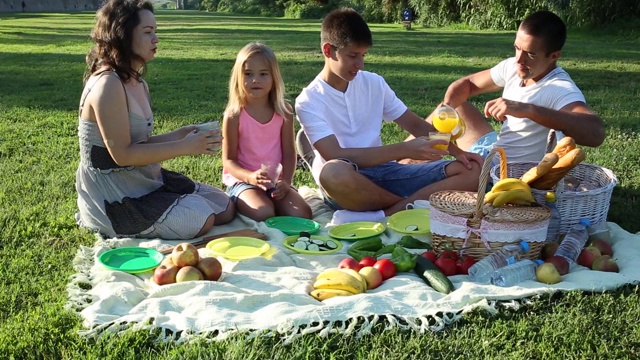一家四口在绿色草坪上野餐视频素材