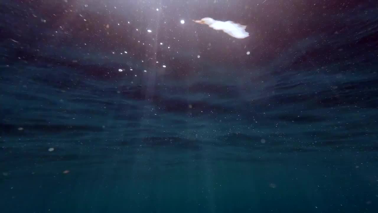阳光透过洋面照射到水下的海面视频素材