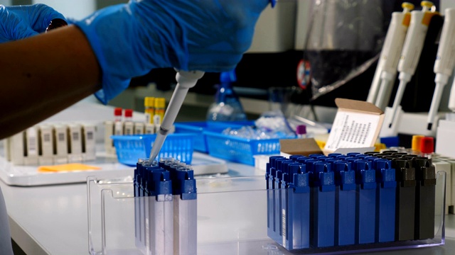 用于遗传学研究的现代医疗设备。特写手在蓝色手套使用微型吸管与试管工作。创新制药实验室的人。在4 k拍摄视频素材