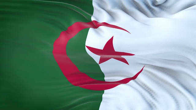 阿尔及利亚国旗迎风飘扬，织物质地细腻。无缝循环视频下载