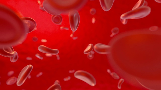 血液和红细胞，抽象概念，生命与健康，3d渲染。视频下载
