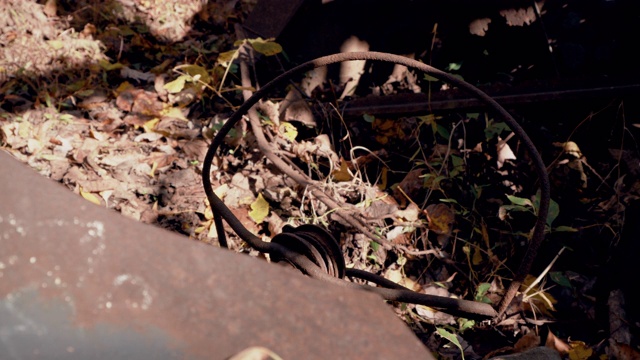 废弃的古董汽车方向盘在森林-旧和生锈视频下载