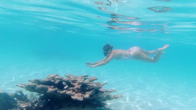 女人浮潜在一个热带岛屿的珊瑚礁上视频下载
