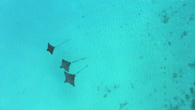 无人机拍摄的马尔代夫浅水区的细线视频下载
