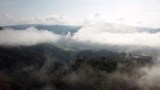 航拍上方的云彩和森林与日出和蓝天视频下载