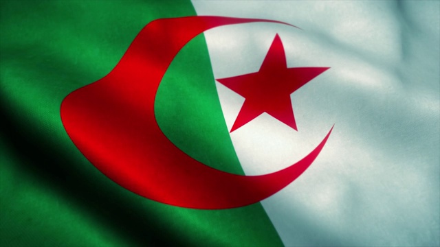 阿尔及利亚国旗飘扬的动画。阿尔及利亚国旗在风中飘扬。标志阿尔及利亚无缝循环动画。4 k视频下载