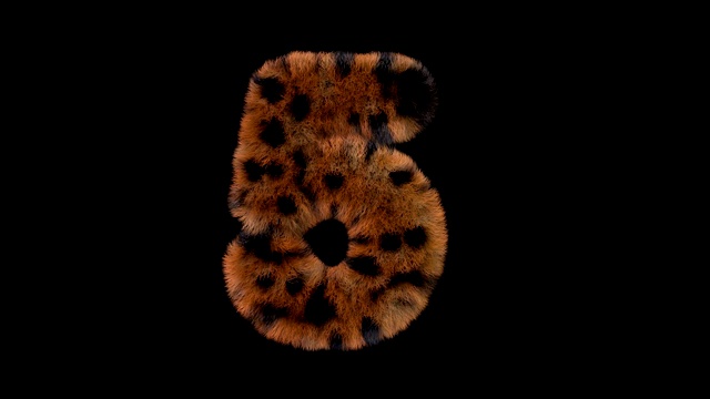 豹毛动画毛茸茸的字母5视频素材