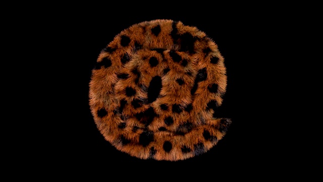 豹毛动画毛茸茸字母在视频素材