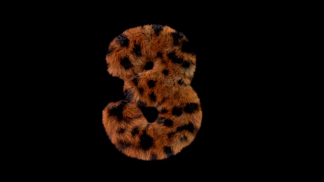 豹毛动画毛茸茸的字母3视频下载