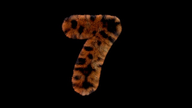 豹毛动画毛茸茸的字母7视频下载