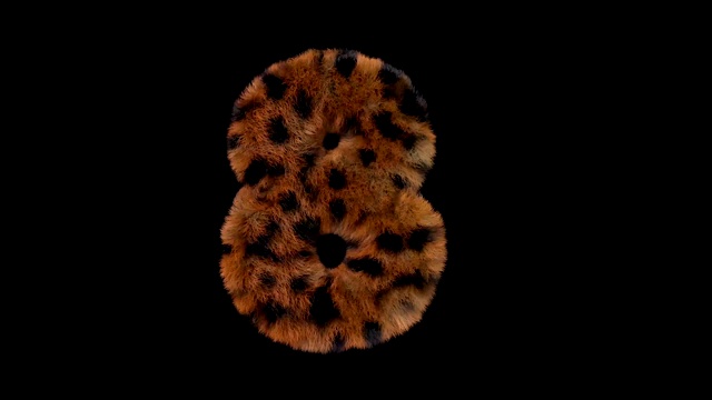 豹毛动画毛茸茸的字母8视频下载