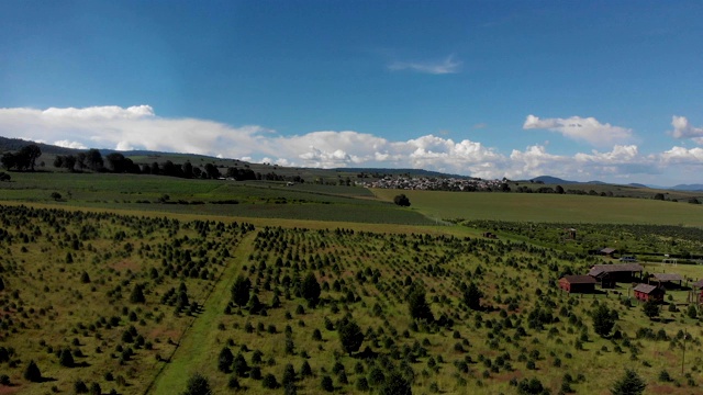 美丽的，田园诗般的鸟瞰图绿色的肝和树在墨西哥的乡村。视频下载