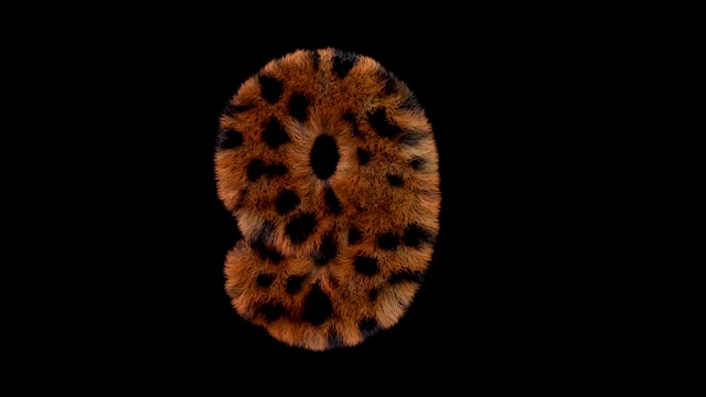豹毛动画毛茸茸的字母9视频素材