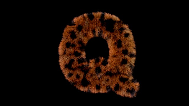 豹毛动画毛茸茸的字母Q视频素材