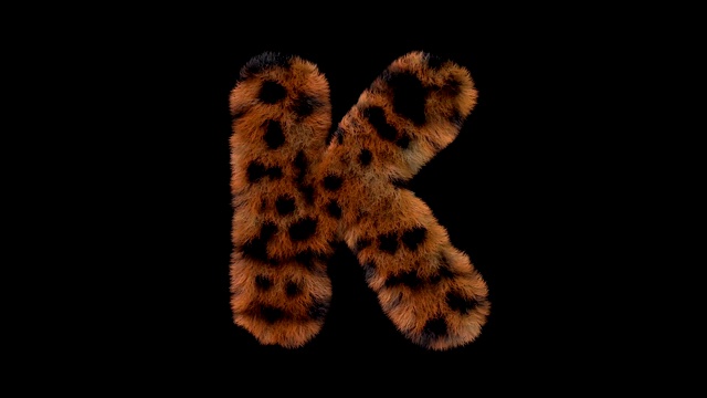 豹毛动画毛茸茸的字母K视频素材