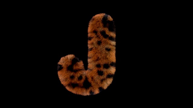 豹毛动画毛茸茸的字母J视频下载