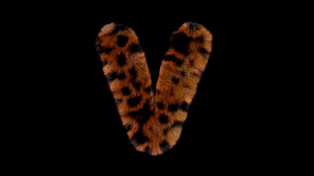 豹毛动画毛茸茸的字母V视频下载