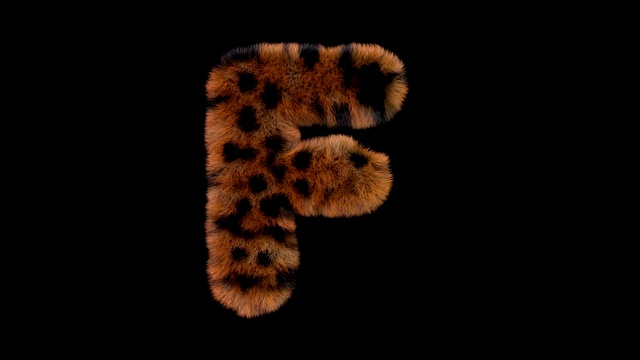 豹毛动画毛茸茸字母F视频素材