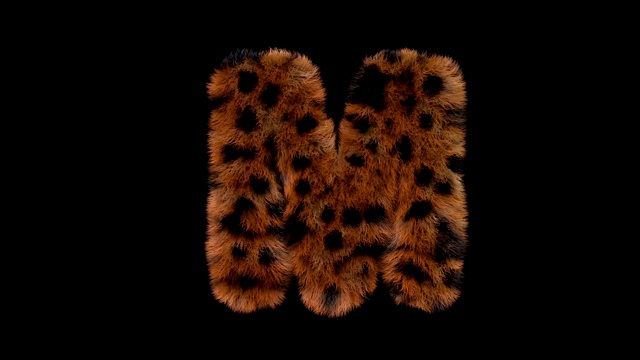豹毛动画毛茸茸的字母M视频素材