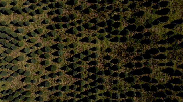 令人惊叹的鸟瞰图在神奇的乡村在墨西哥。视频下载