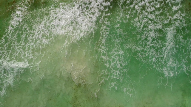 鸟瞰图的流入和海与浮动藻类。视频素材