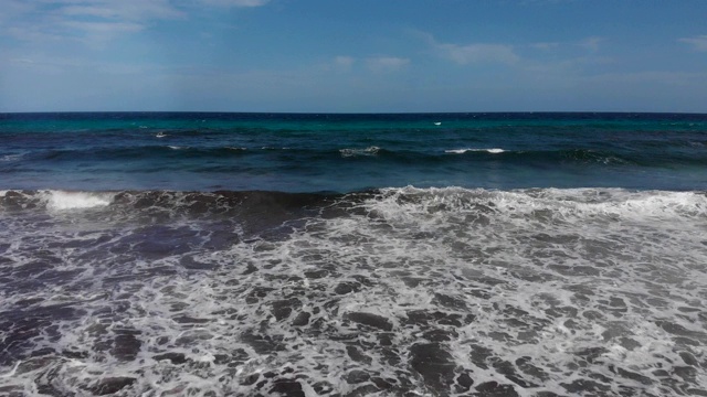 鸟瞰图的海滩与藻类和加勒比海。视频下载