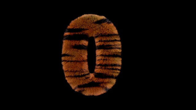 动画毛茸茸的动物园老虎的文本字体0视频下载