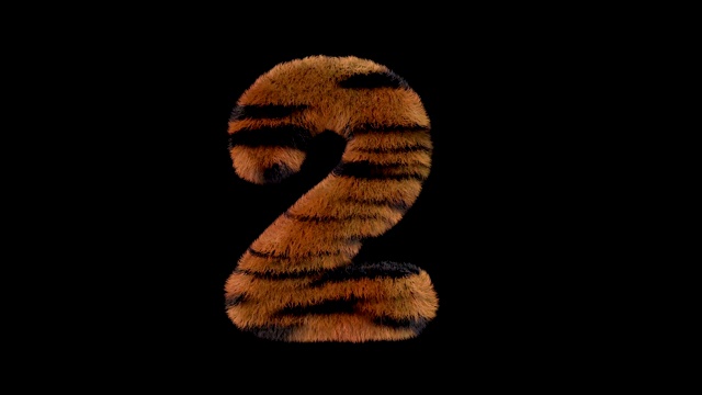动画毛茸茸的动物园老虎文本字体2视频下载