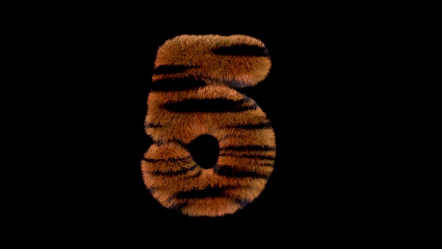 动画毛茸茸的动物园老虎文本字体5视频下载