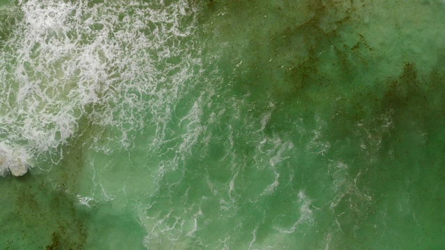 鸟瞰图流入和海面上漂浮的藻类。视频下载