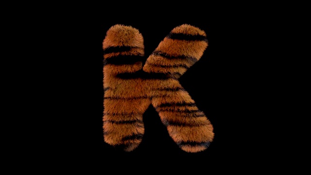 动画毛茸茸的动物园老虎文本字体K视频下载