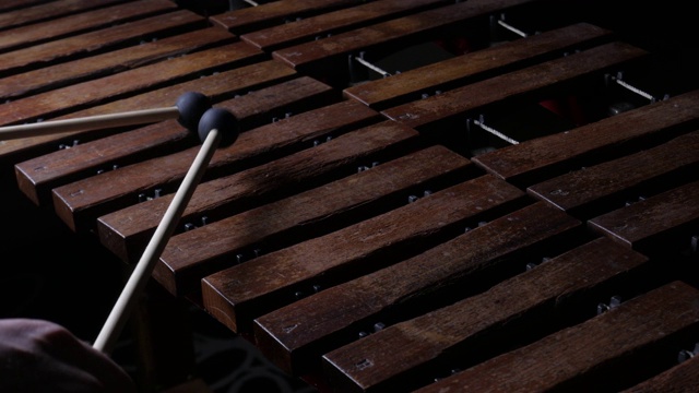 音乐家演奏木琴视频素材