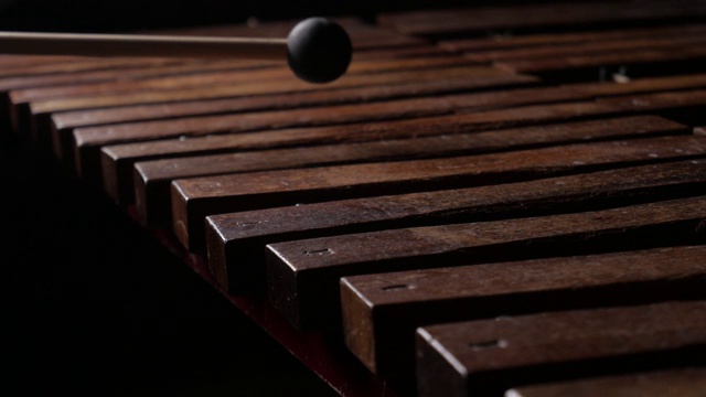 男性音乐家演奏木琴或马林巴琴视频素材