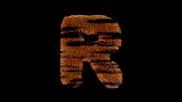 动画毛茸茸的动物园老虎文本字体R视频下载