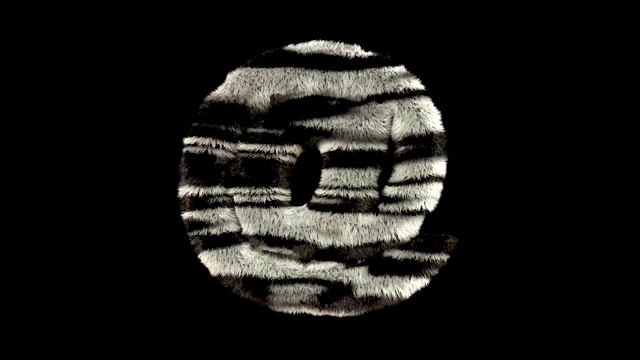 动画毛茸茸的动物园斑马文字字体在视频素材