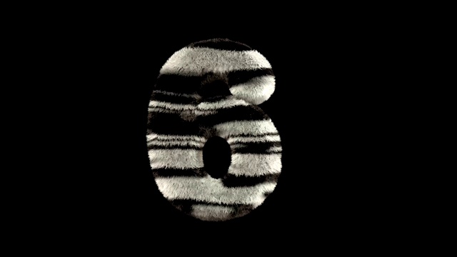 动画毛茸茸的动物园斑马文本字体6视频素材