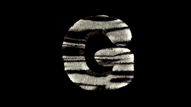 动画毛茸茸的动物园斑马的文字字体G视频素材