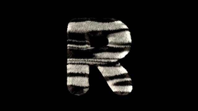 动画毛茸茸的动物园斑马的文字字体R视频下载