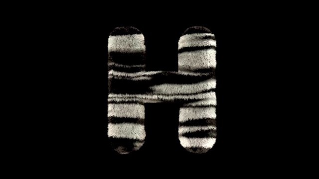动画毛茸茸的动物园斑马的文字字体H视频素材