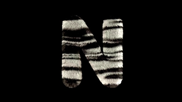 动画毛茸茸的动物园斑马的文本字体N视频素材