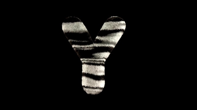 动画毛茸茸的动物园斑马的文字字体Y视频下载