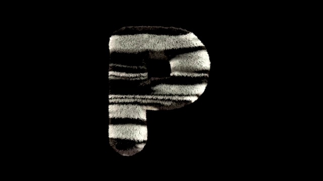动画毛茸茸的动物园斑马的文字字体P视频素材