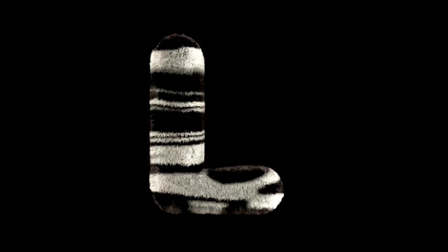 动画毛茸茸的动物园斑马的文字字体L视频素材